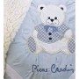 Κουβέρτα Αγκαλιάς Pierre Cardin Teddy Bleu